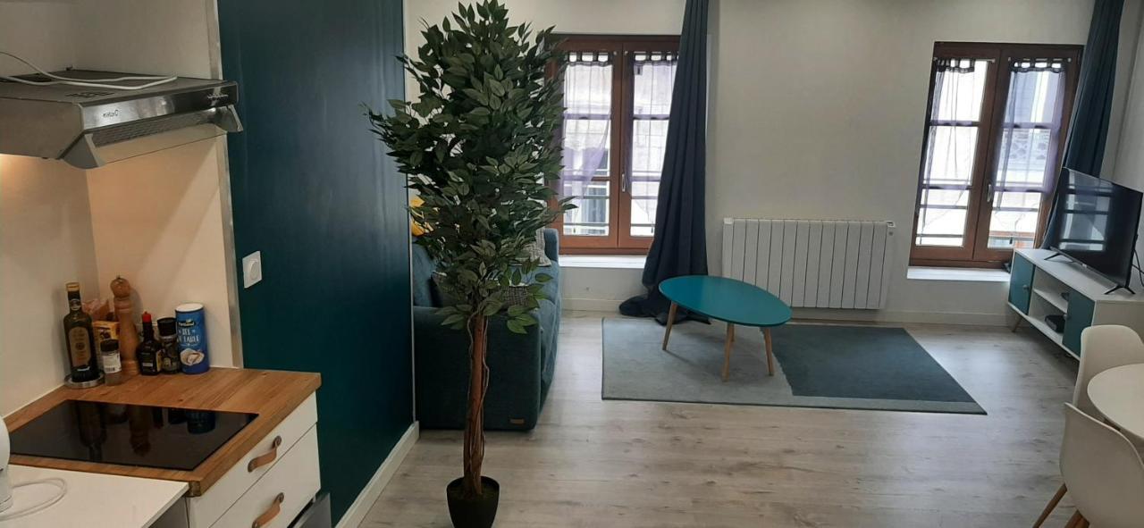Appartement Netflix Centre De Vienne Pres De Lyon Ngoại thất bức ảnh